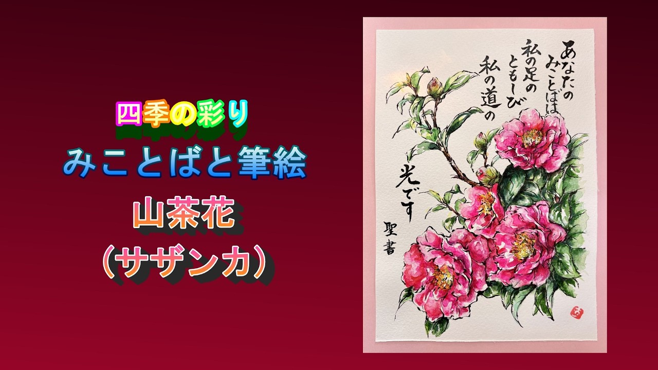 四季の彩り みことばと筆絵 山茶花 (サザンカ)