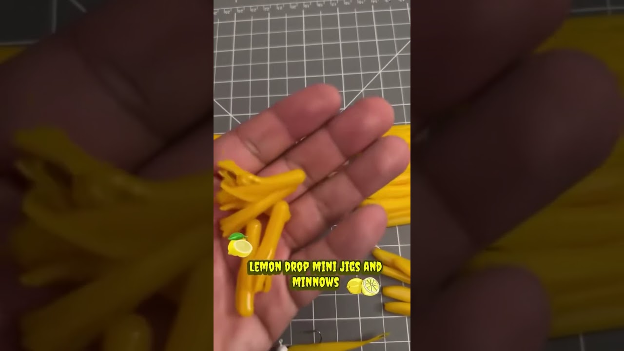 Lemon drop mini jigs,minnows these jigs get crushed one of our favorites anywhere we go 