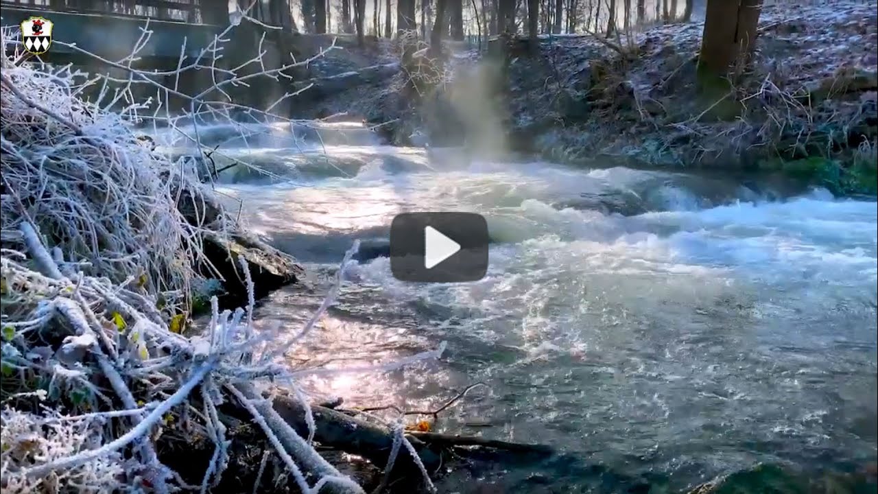 Winterimpressionen aus Ismaning