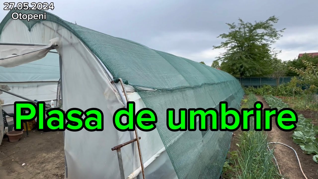 Am montat plasa de umbrire pe solar și am aplicat FIREWALL