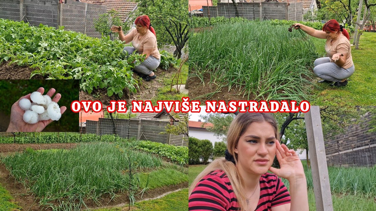 Snažna oluja nas zadesila- polomila je svašta