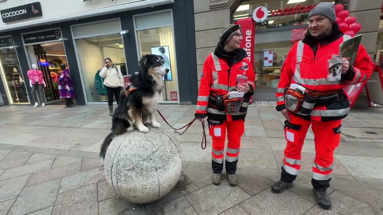 Rettungshundestaffel Göttingen 24.12.25