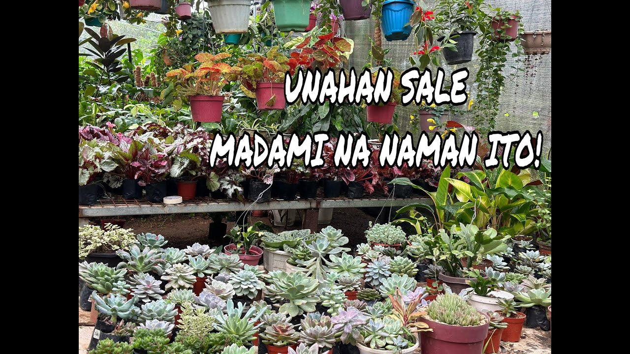 UNAHAN SA SALE DITO LAGING BAGO!
