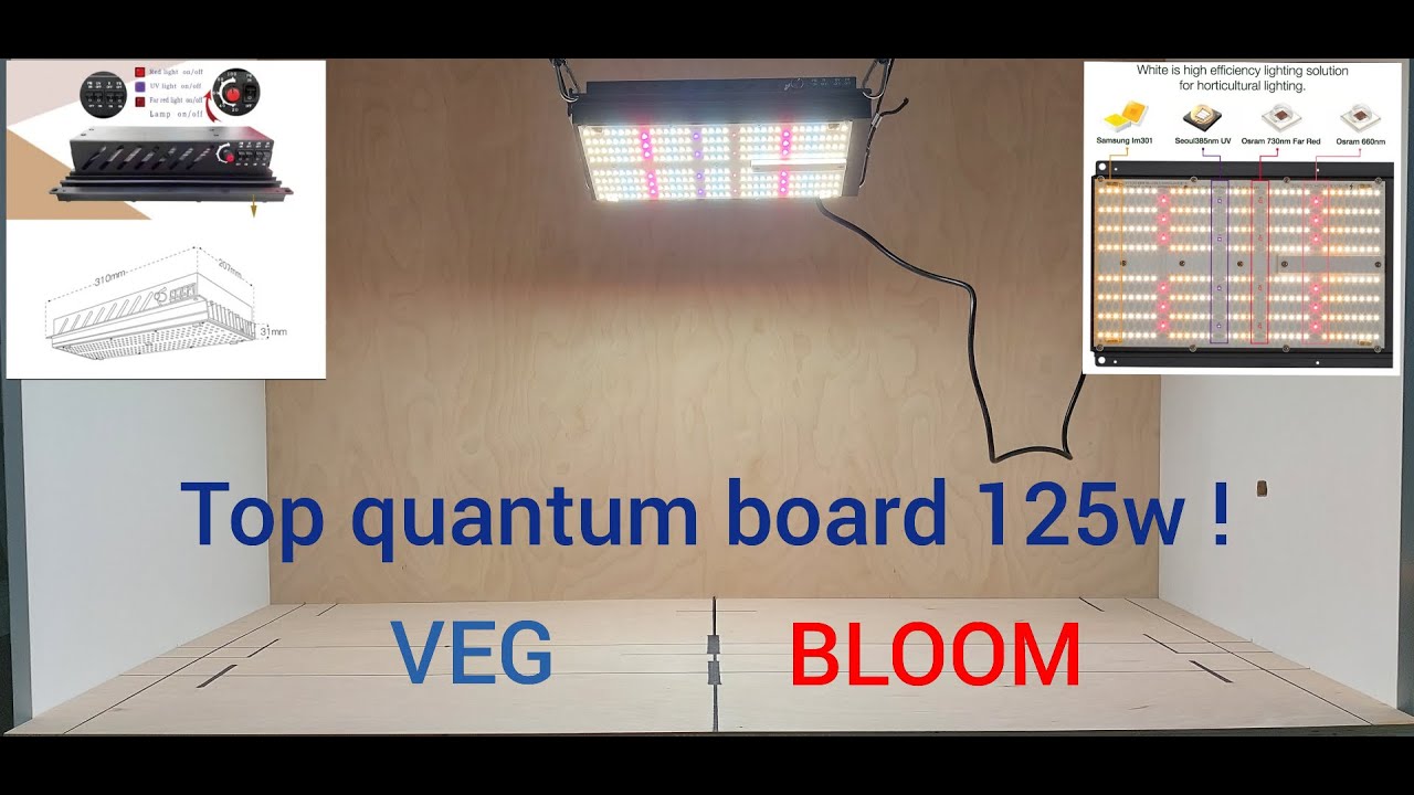 Top quantum board 125w veg / bloom отлично засветит бокс на 50х50 70х70 чипы samsung osram seul .