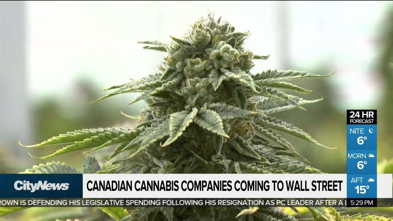 Canadian cannabis companies coming to Wall Street