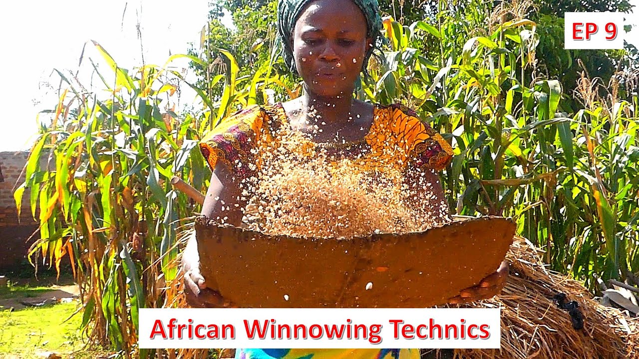 African Winnowing Tray Secret Uses AC&N Episode 9