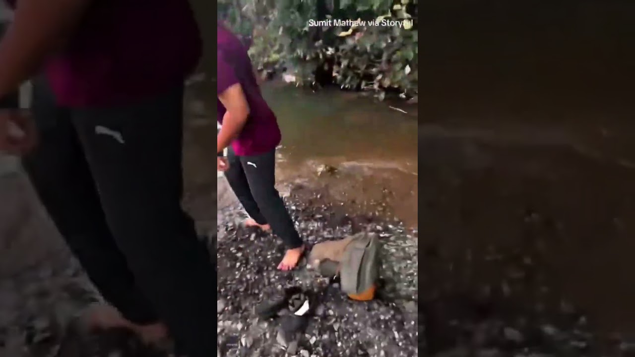 Car plunges into pond, bystanders rescue father and daughter #shorts