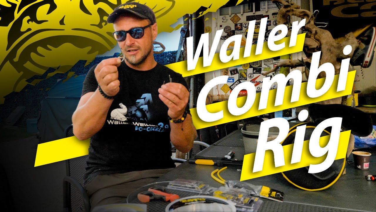 C wie Combi Rig - So bindest du das beste Wels-Rig f&uuml;r verschieden gro&szlig;e K&ouml;derfische #wallerwelt2