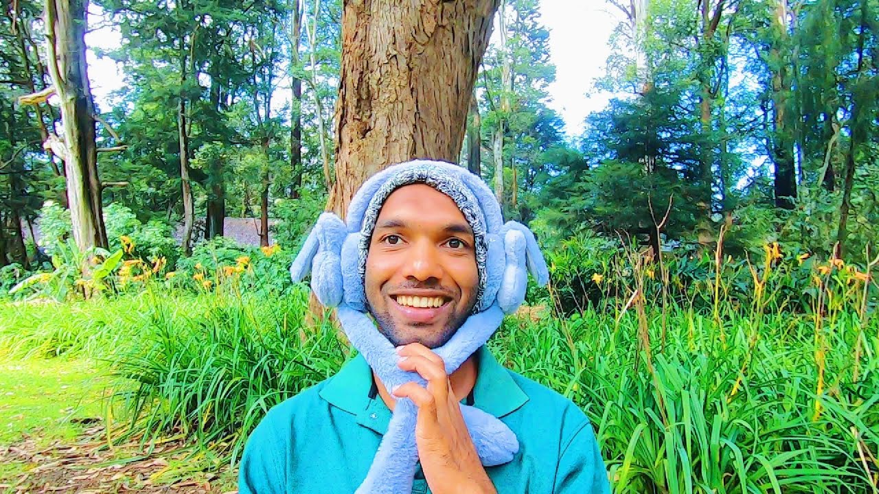 මම මහා බලගතු මායාකාරයෙක්ගේ ගෝලයෙක් උන හැටි...