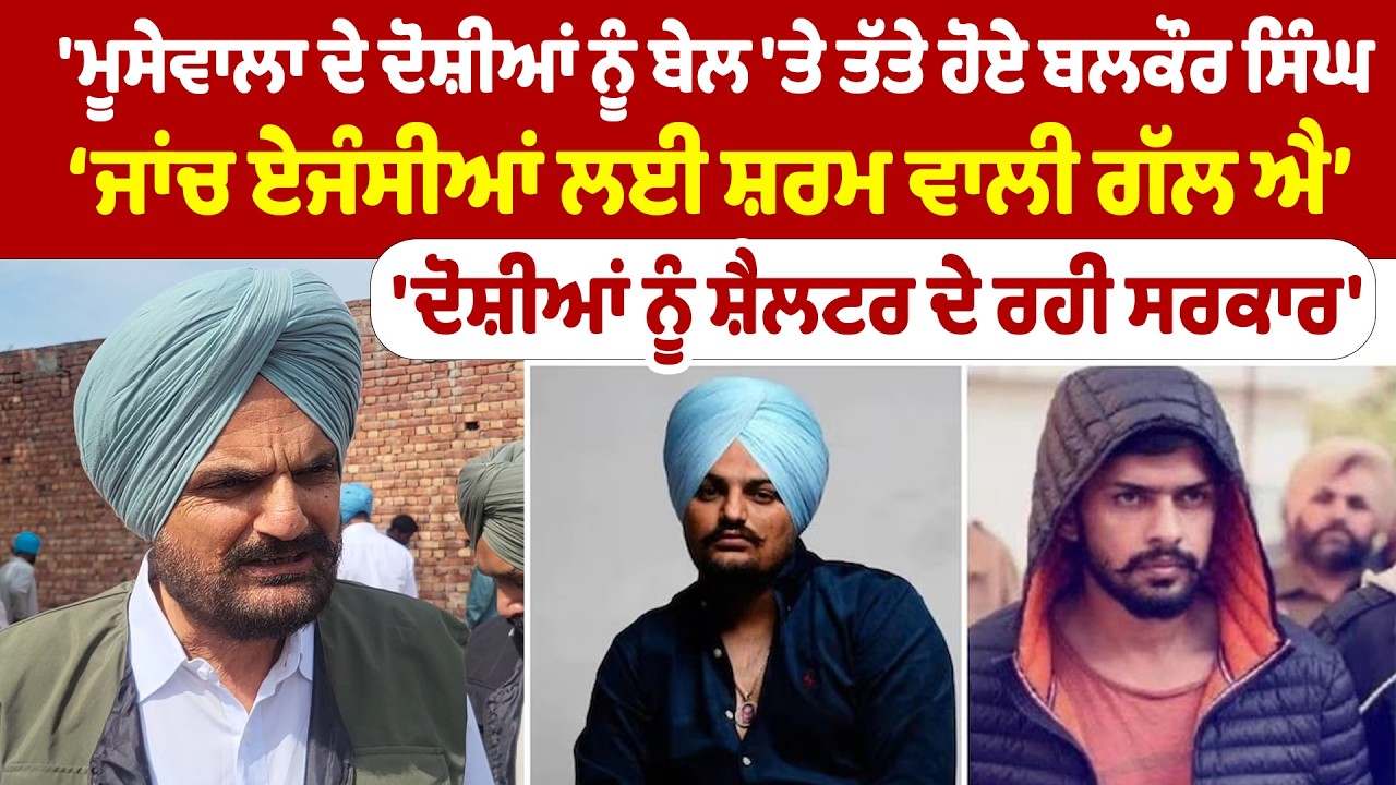 Balkaur Singh News | 'ਮੂਸੇਵਾਲਾ ਦੇ ਦੋਸ਼ੀਆਂ ਨੂੰ ਬੇਲ 'ਤੇ ਤੱਤੇ ਹੋਏ ਬਲਕੌਰ ਸਿੰਘ | Sanjha TV