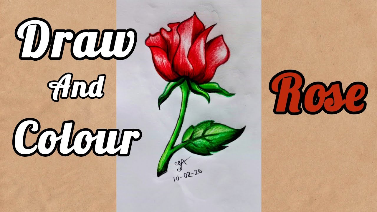 How to draw a beautiful Rose 🌹Step by step✨#drawing#rose#art
