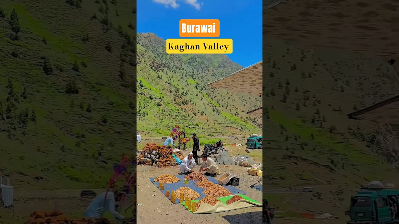 📍Burawai Kaghan Valley ! Beautiful Place 😊 #narankaghan #Burawai #ytshorts #nature
