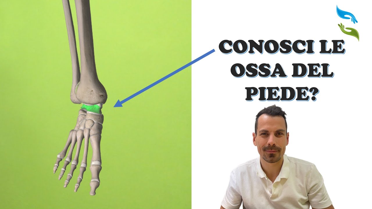 Dolore al piede? Scopri l'anatomia ossea, muscolare e nervosa