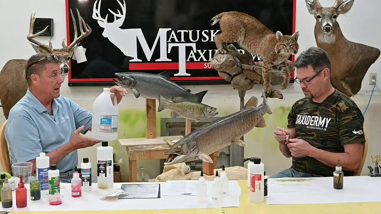 Learn Taxidermy: Colors by Createx