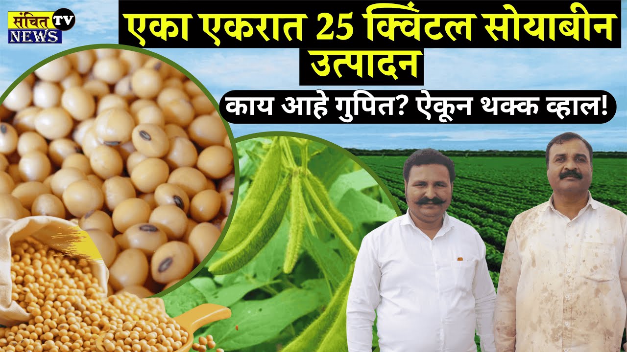 एका एकरात 25 क्विंटल सोयाबीन उत्पादन | Soybean Farming in Marathi #farmer