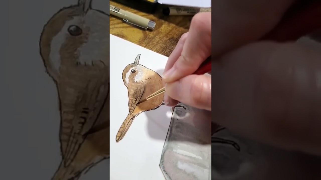 Carolina Wren Watercolor #howtopaint #watercolor #watercolorpainting #bird