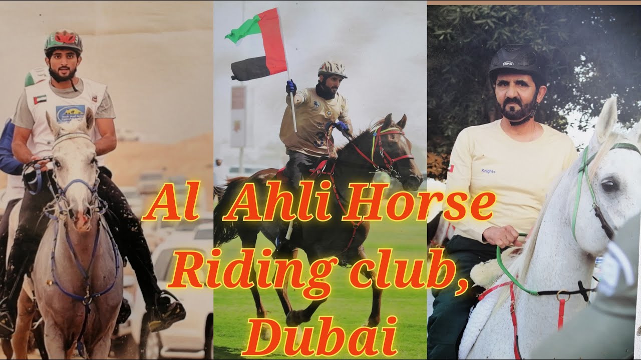 AL AHLI HORSE RIDING CLUB,DUBAI || Equestrian skills  || Horse stable || Horse back riding lessons