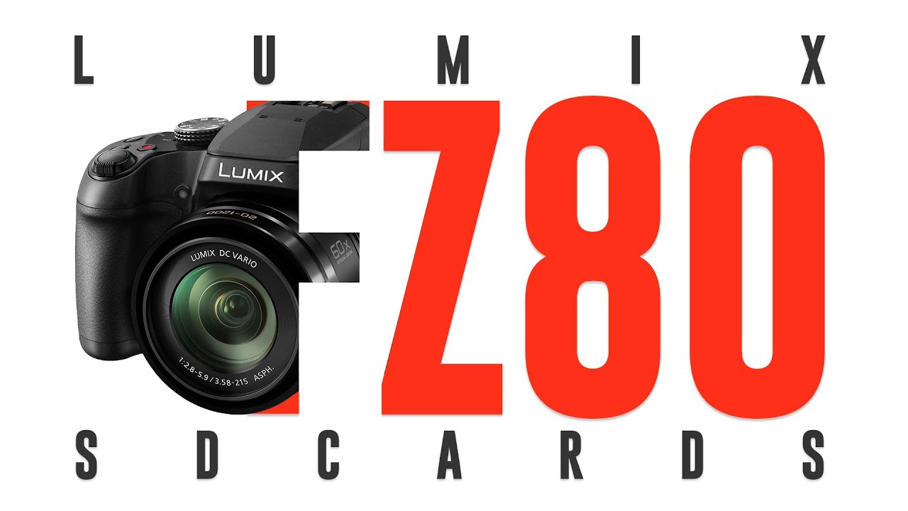 SD Cards Explained For Your LUMIX FZ80 Digital Camera.