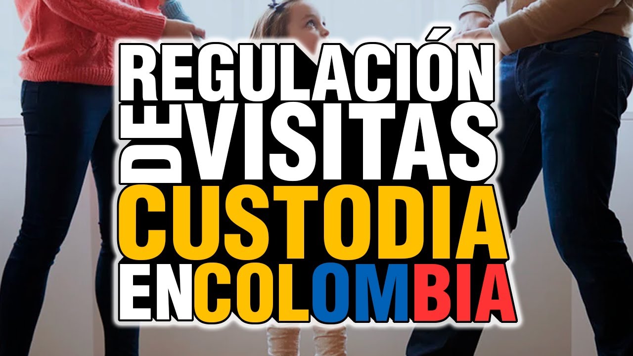 🛑  CUSTODIA - CUIDADO Y REGULACIÓN DE VISITAS 🛑