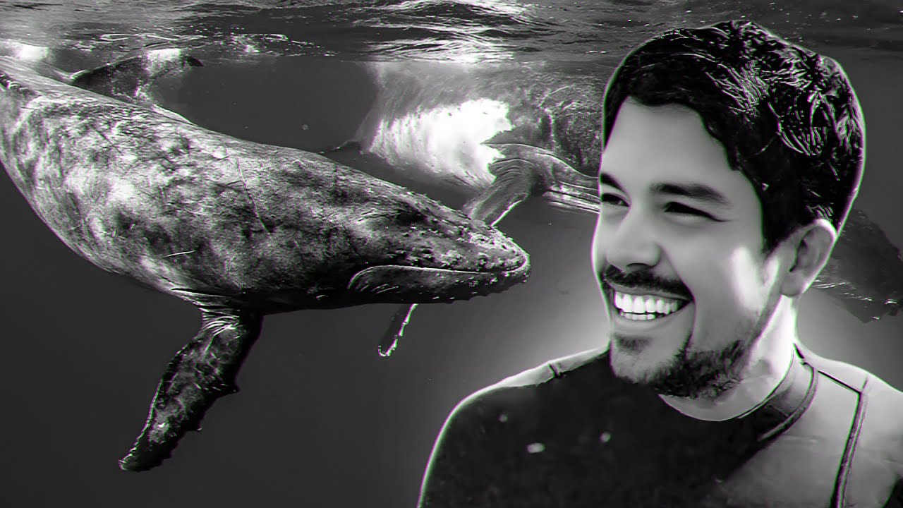 NGO Founder & Whale Rescuer