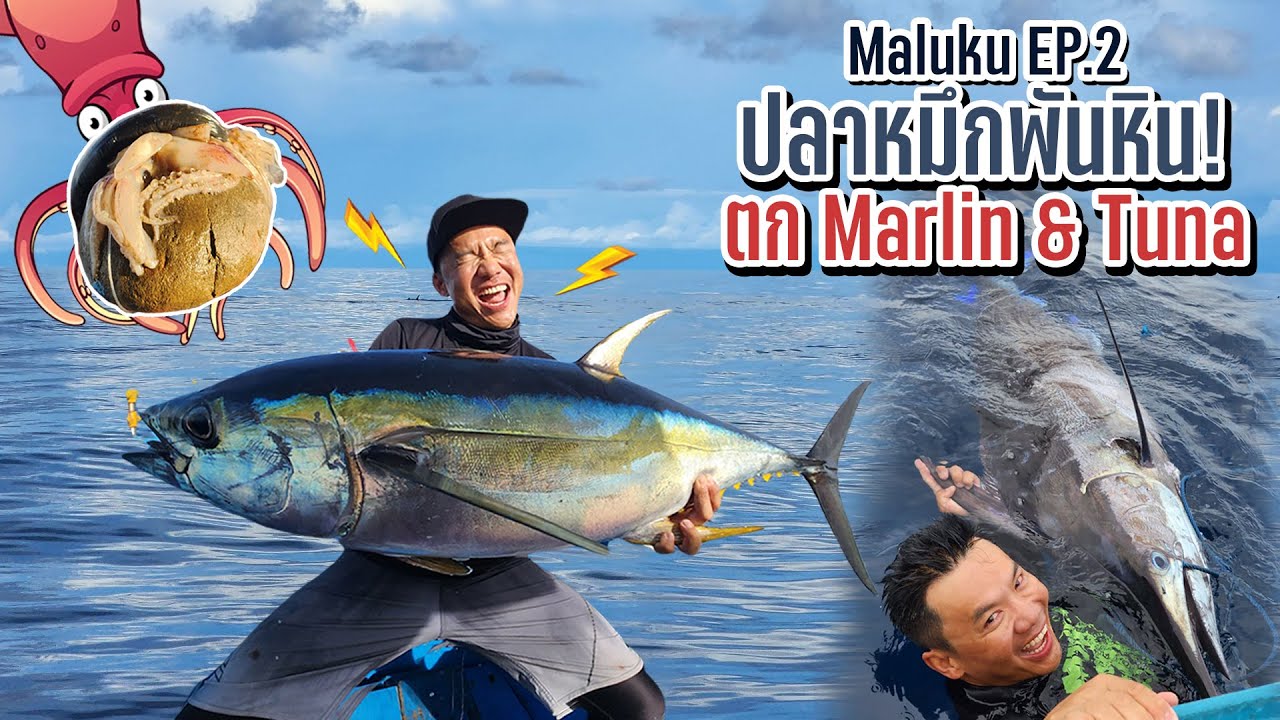 ใช้ปลาหมึกกับหิน สายมือตกทูน่ากับมาร์ลิน Squid & rock handlining Marlin & Tuna  Maluku EP 2: