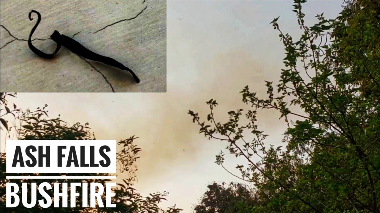 Ash Falls from Delhi Sky | Bush Fire in Yamuna Bank, near Rajghat