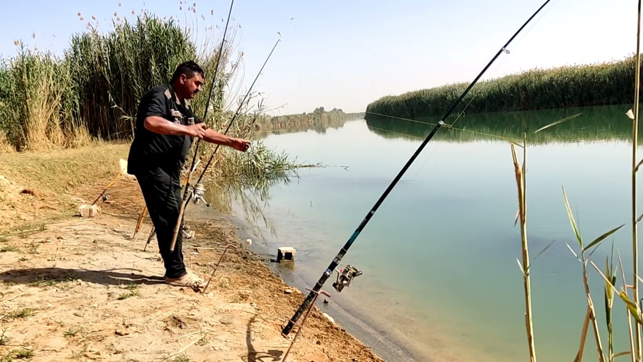 اليوم رحت إلى مدينة  الفلوجة والصيد فقط شمسيه