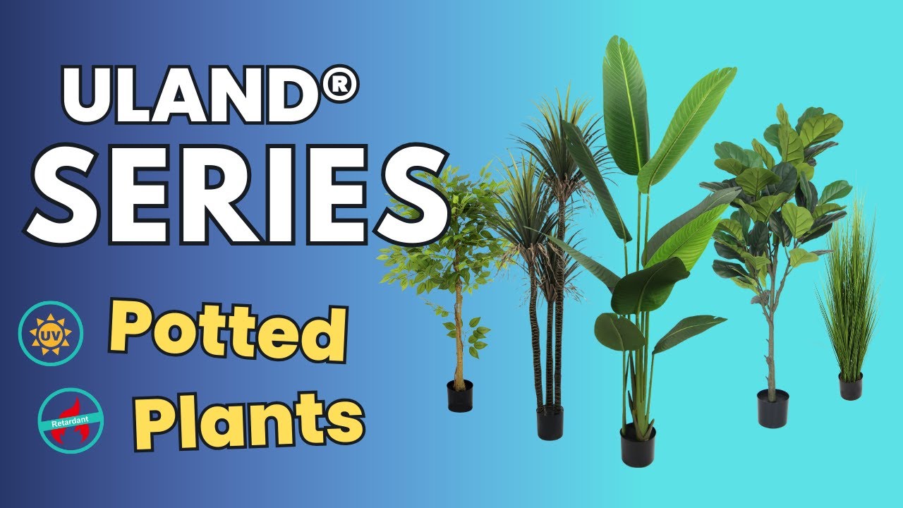 Expanding Into Artificial Plants? Here’s How Buyers Review the Full Range