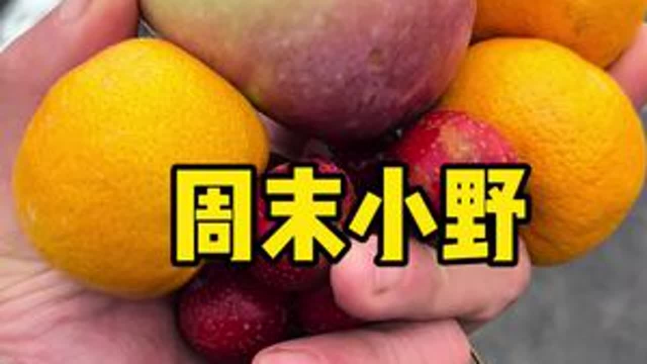 周末小野，露营，钓鱼，鱼钓的太心碎了。#vlog日常 #日常生活 #露营 #周末户外活动 #纪录美好生活
