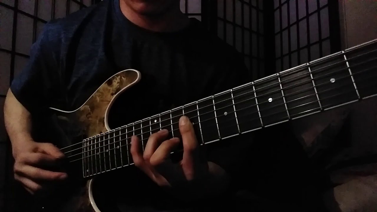 worldenddominator guitarcover