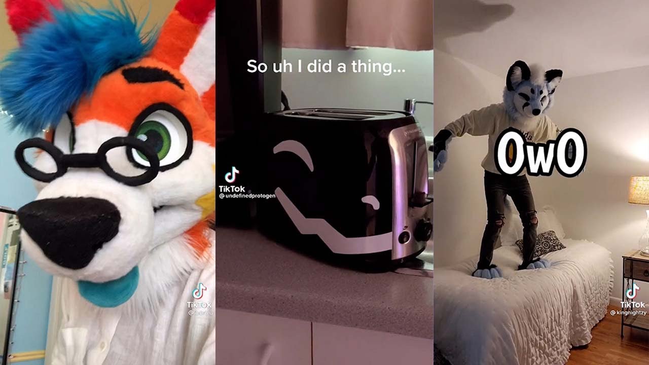 Furry Tiktoks That Bring Out My Inner UwU