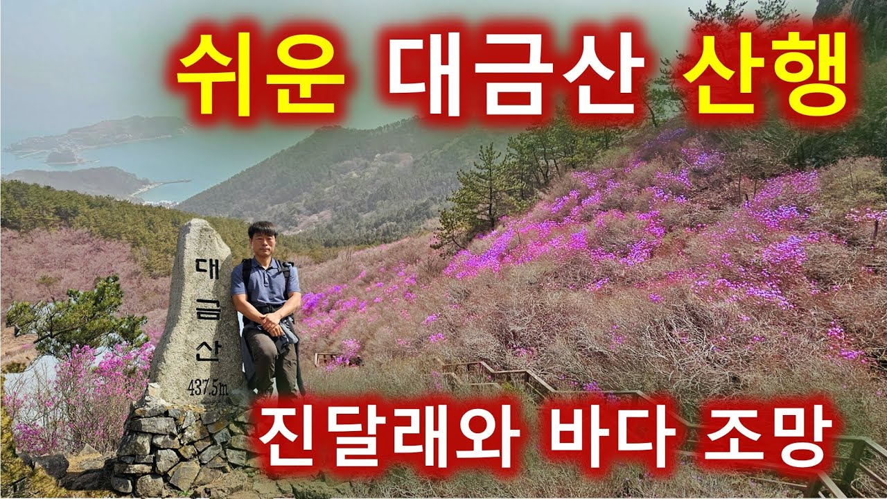 이렇게 쉽게 갈수 있다는 게 실화인가? 경남 거제 대금산 진달래 등산/반깨고개출발/진달래와 바다까지 금상첨화입니다./월간산 4월 추천산행지