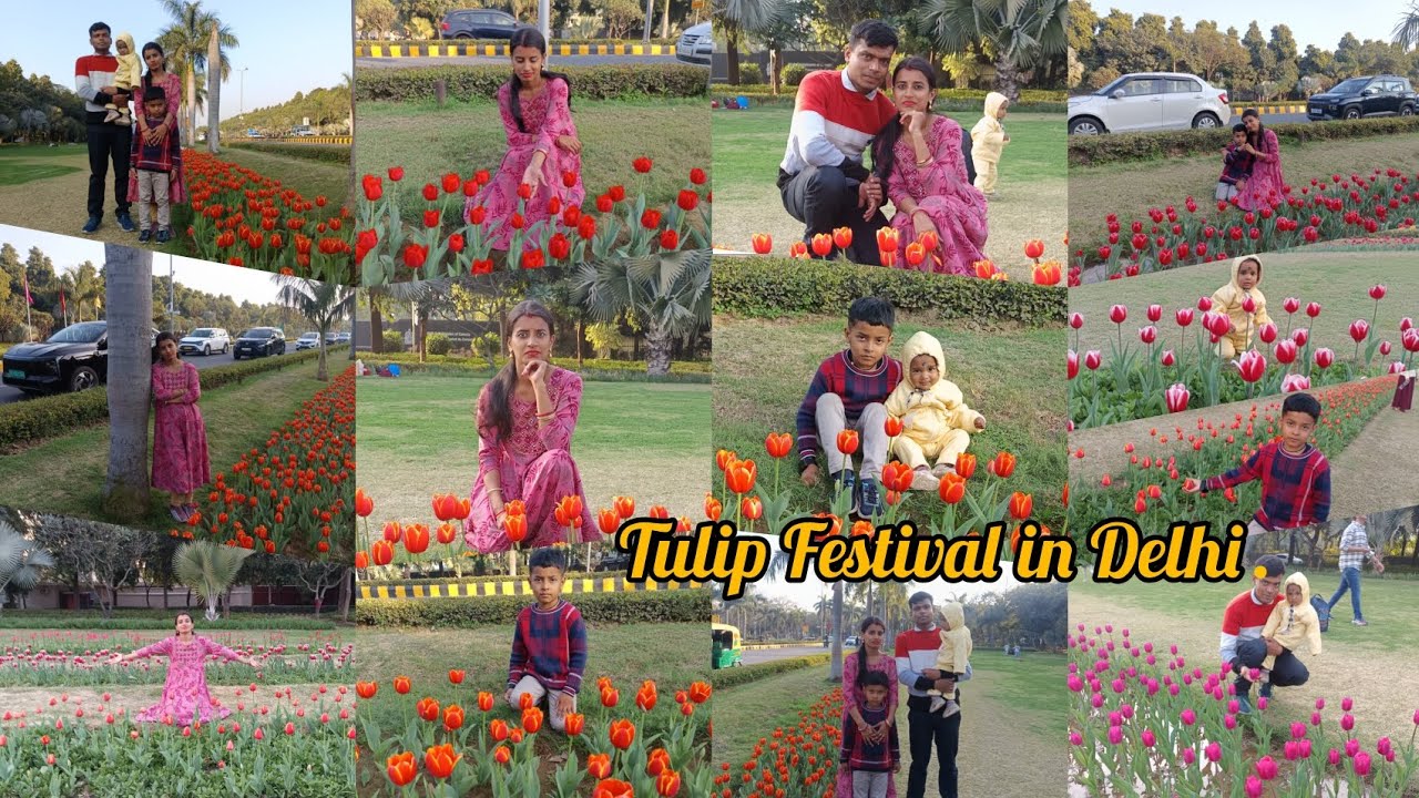 Enjoy full Tulip Festival in Delhi || Mast place||#tulipfestival#sweetfamily