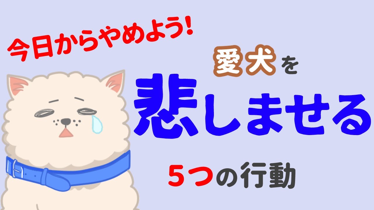 悪気がなくてもダメ！犬を悲しませる飼い主の行動