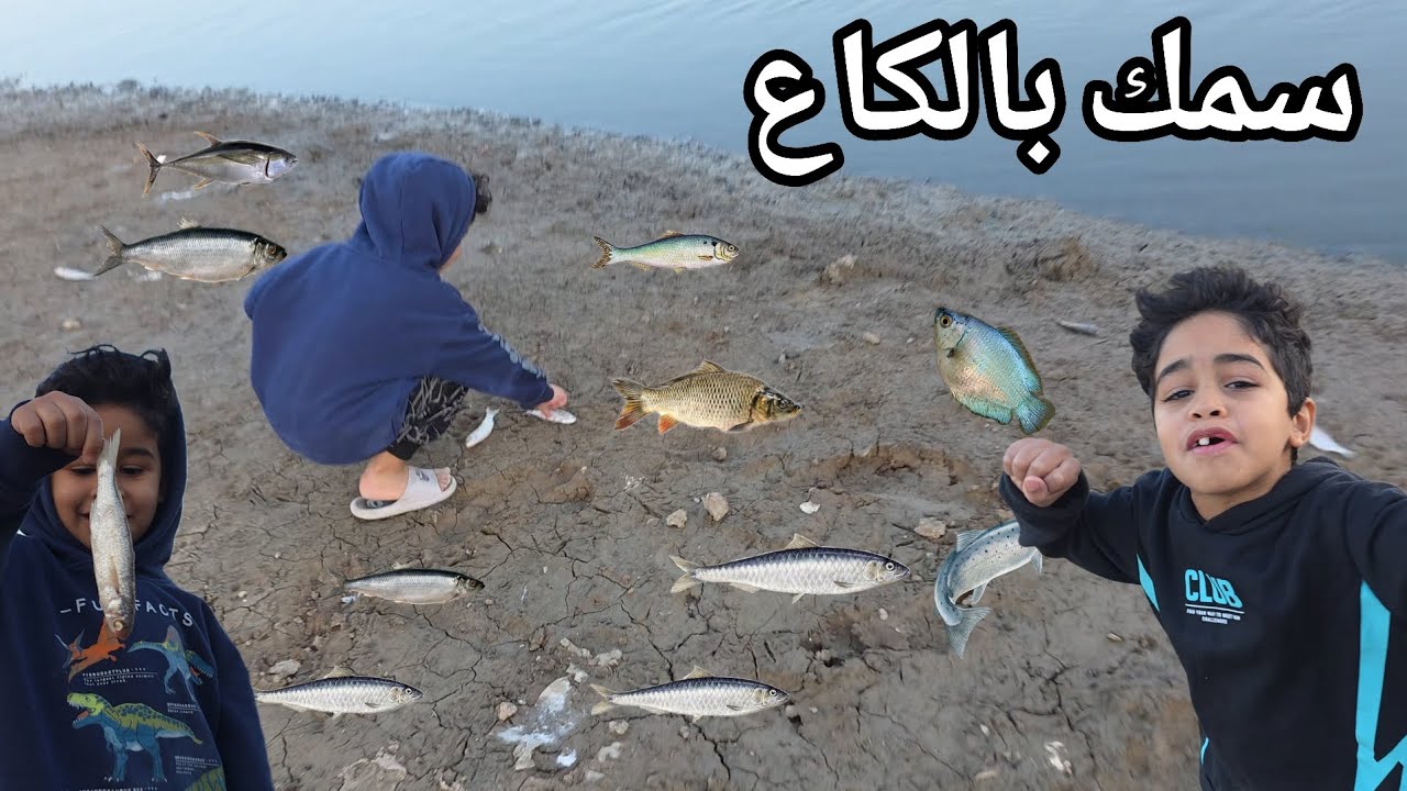 صدمة العديد من السمك خارج الى ضفاف النهر 🐟😱