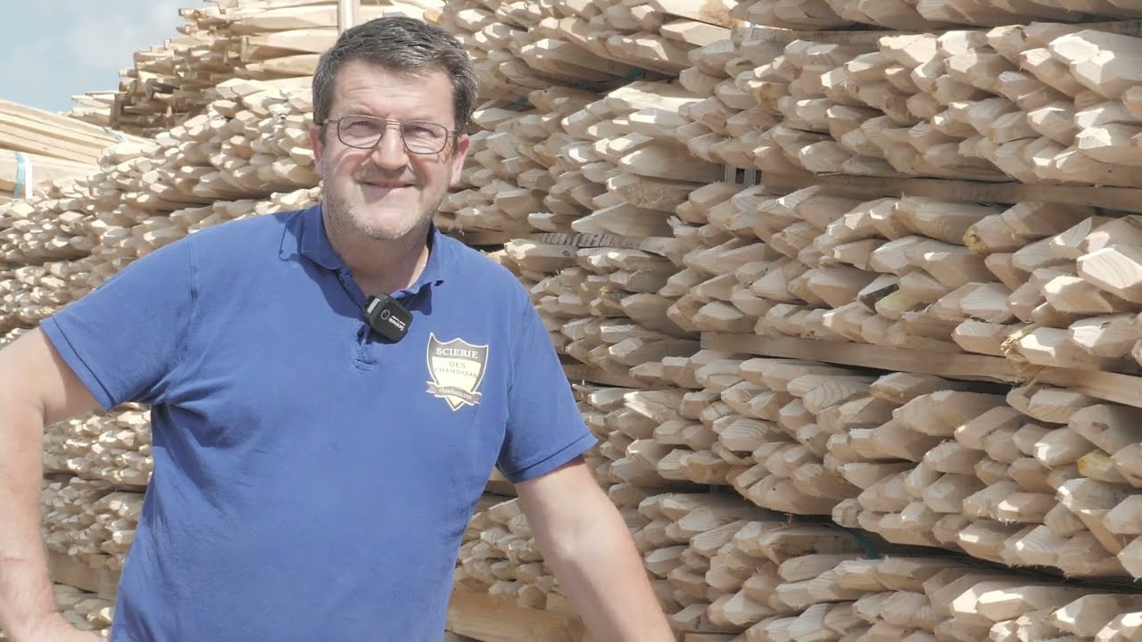 Le châtaignier au coeur de la scierie des Chambaran