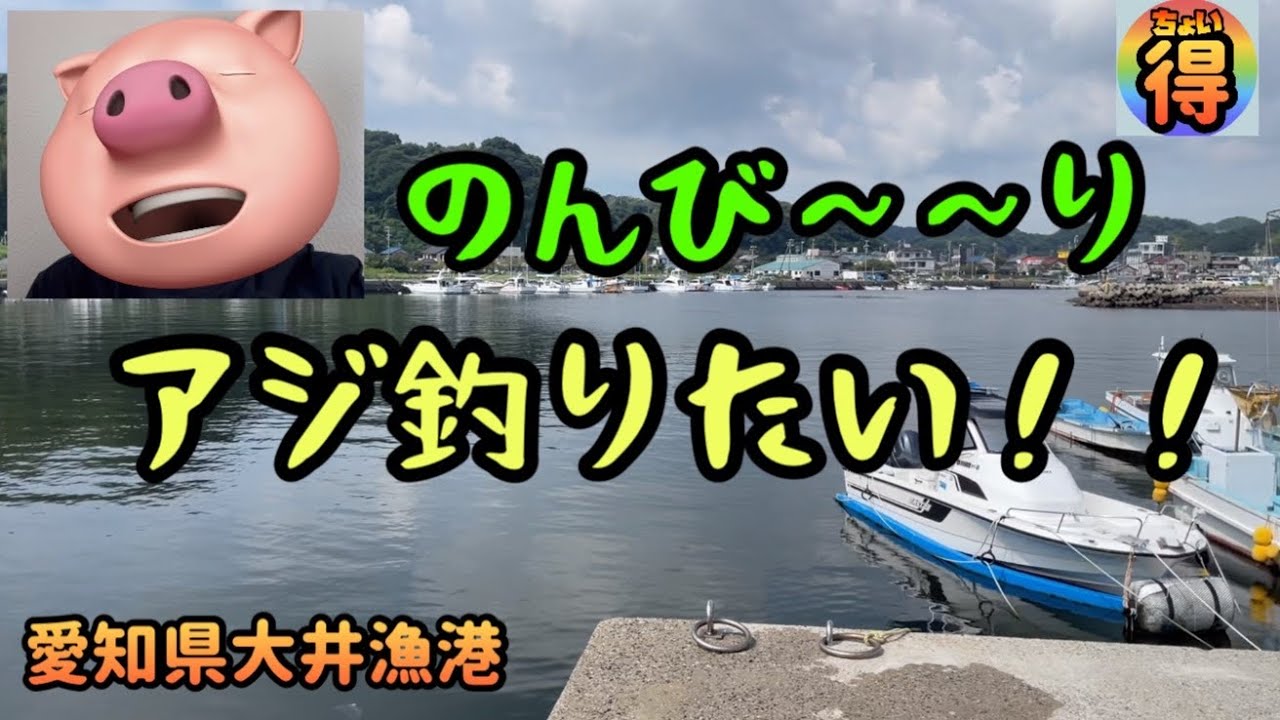 のんび〜りアジ釣りたい！！　愛知県、大井漁港行ってきた！！