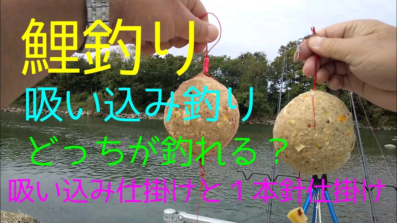 【#鯉釣り #carpfishing #カープフィッシング 】検証、吸い込み仕掛けと１本針仕掛け、どっちが釣れる？