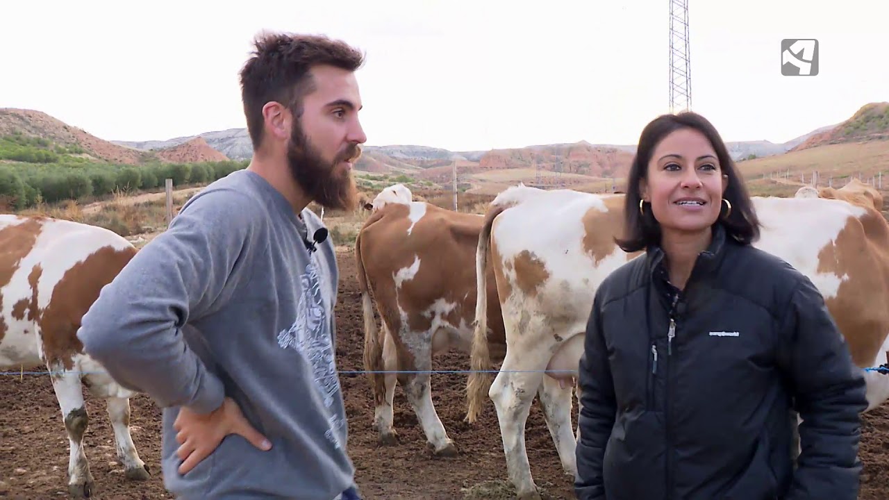 UNIDAD MÓVIL. ¿QUÉ OCURRE CON LA LECHE? 6