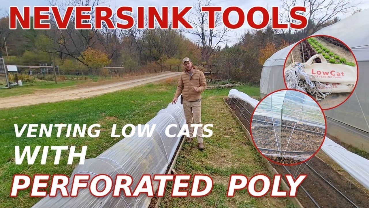 Перфорированный полиэтилен на низких туннелях