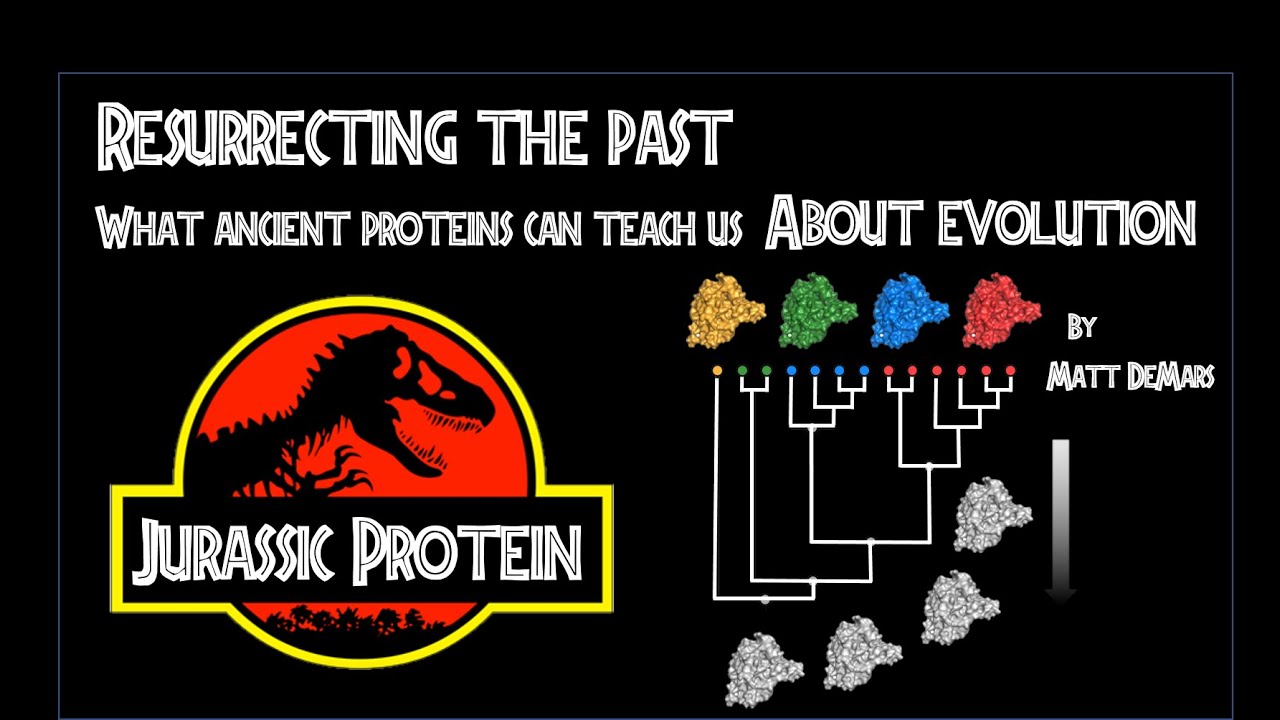 Scientists explain! 