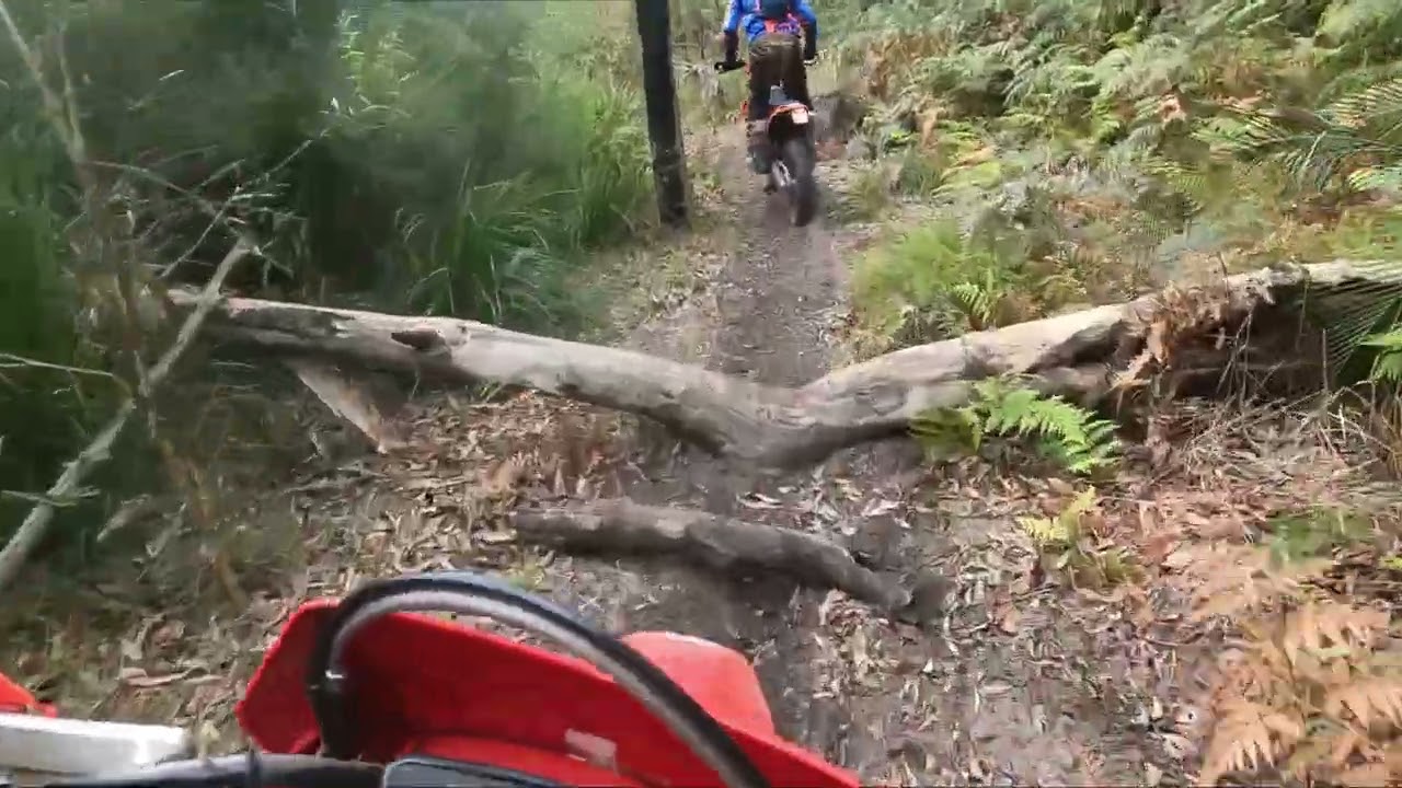 BIG M RIVER RUN START TO FINISH #dirtbikeviking