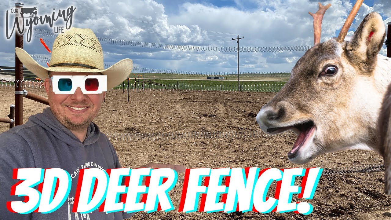 3D Deer Fence with Bekaert Fencing