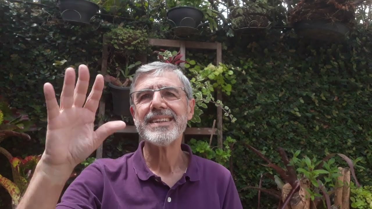 Passe, Reiki ou Johrei: Remédio ou Veneno?