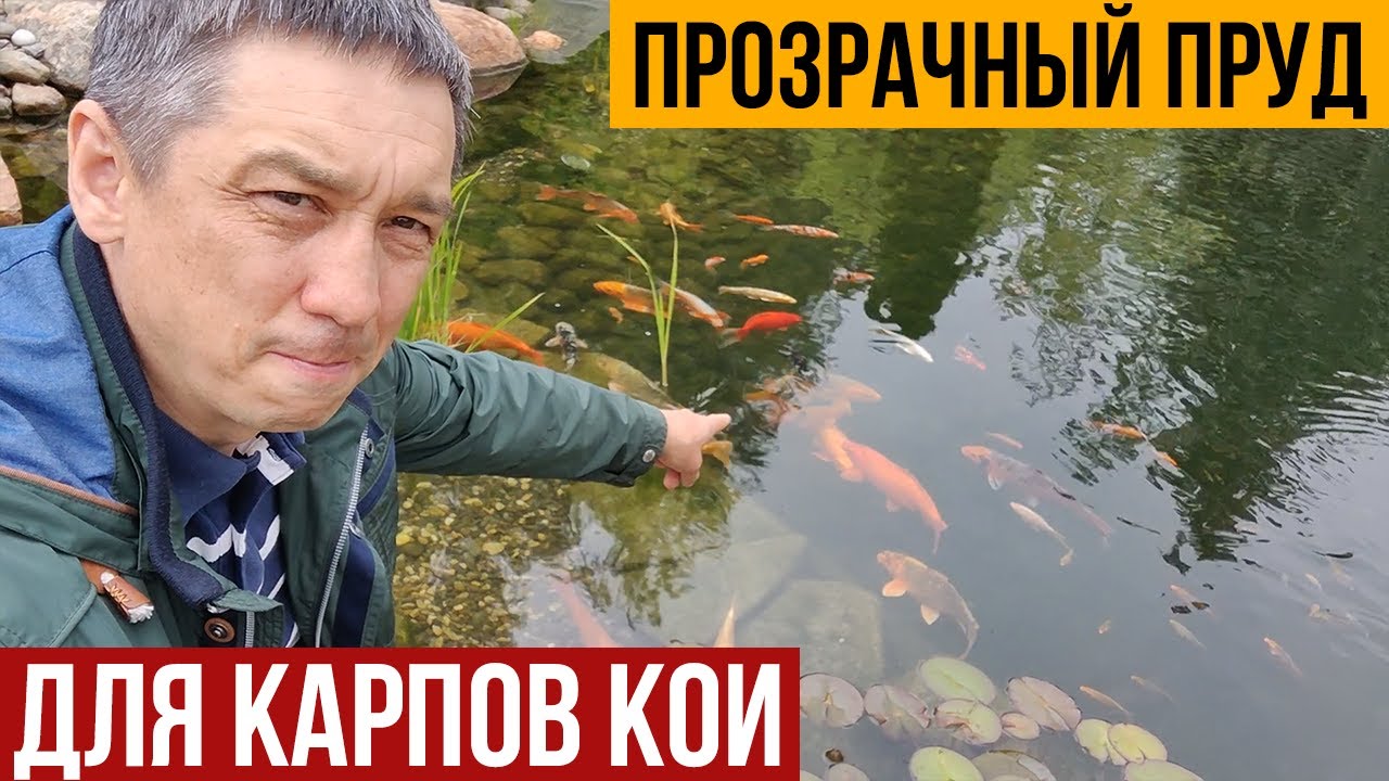 Рассказываю о строительстве прозрачного пруда для карпов кои.