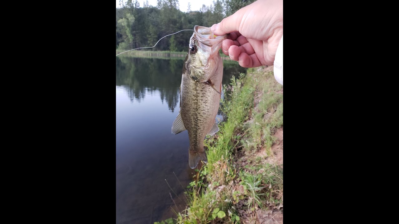 Quick Fishing Session at Lake Theodore