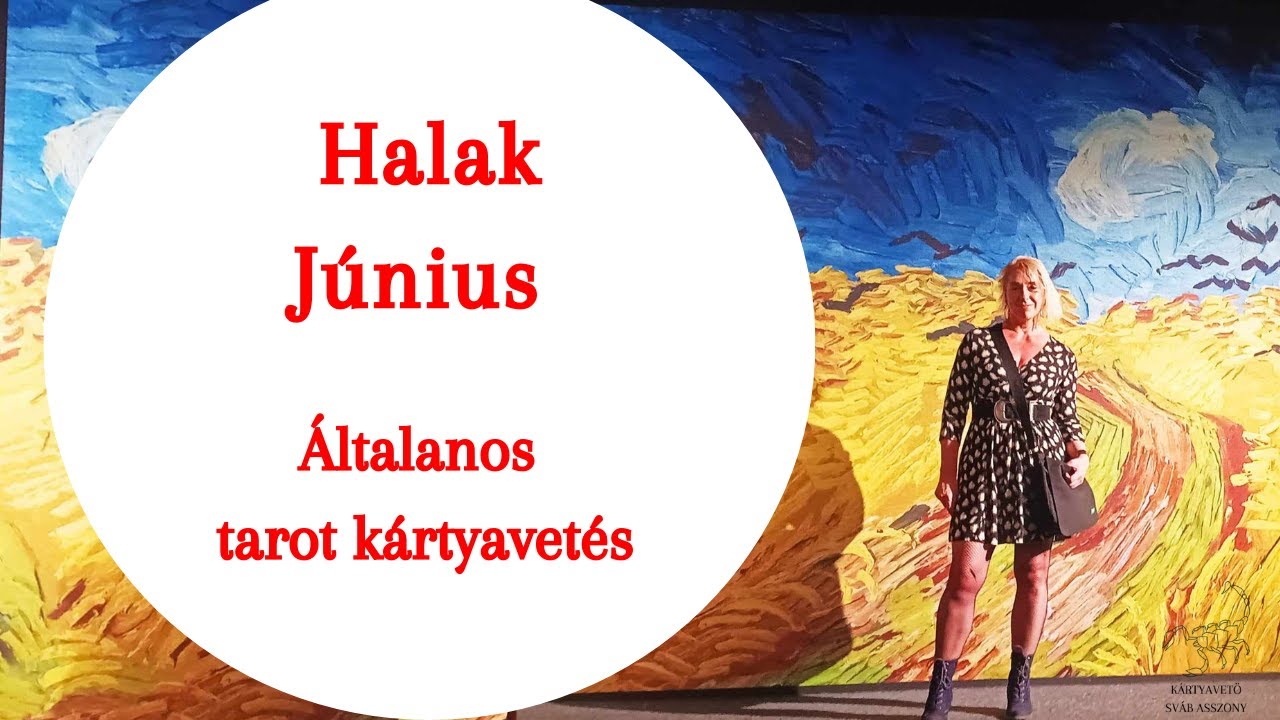 ” Miért akarod magadat alamizsnával kifizetni? 