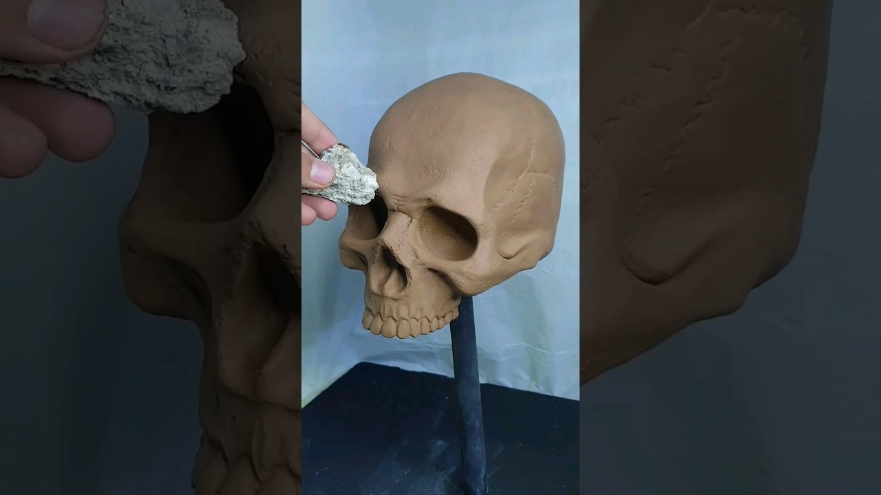sculpting human skull 💀 wait for mold making. #art #sculpture #skull #skullart #mask