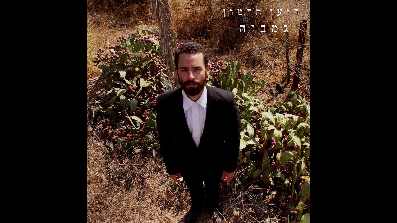 גמביה - רועי חרמון