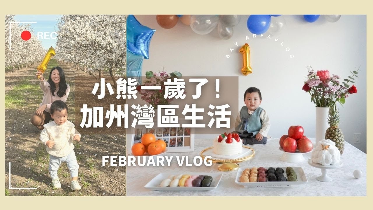 小熊一歲了！🎉韓式抓周＋家庭生日會 我們要有新家了！